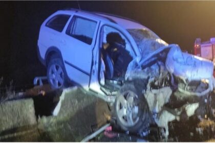 IMG 20221114 114420