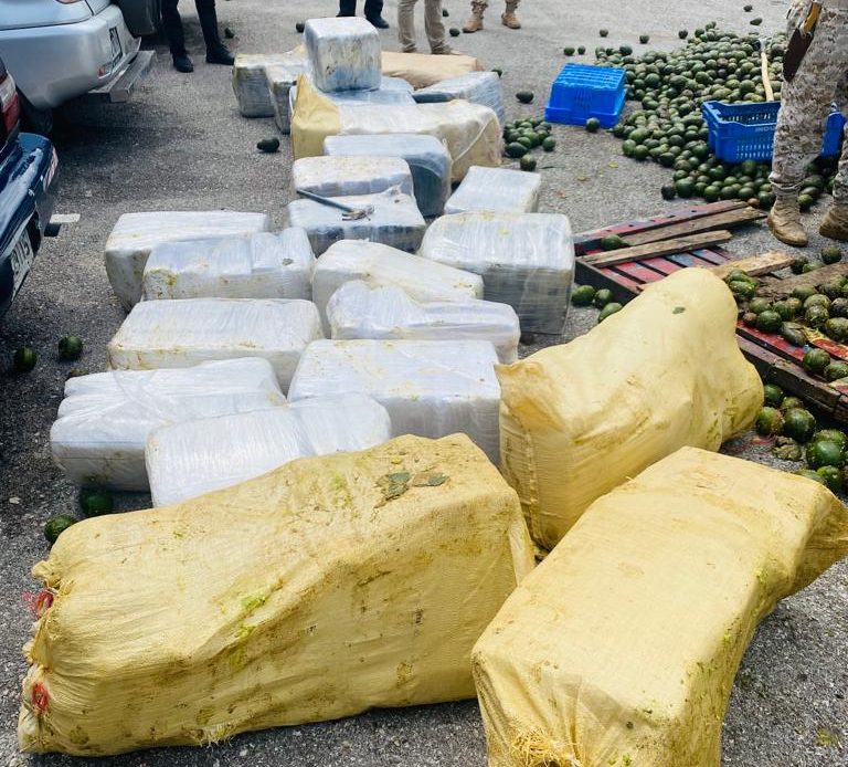 Ocupan 1, 945 libras marihuana escondidas en un camión lleno de aguacate