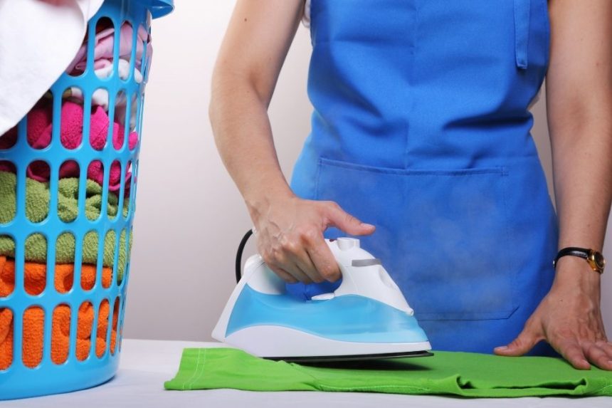 Trabajo domestico