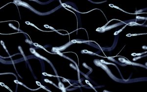 ¿Qué color tiene el semen de un hombre fértil? 7 ¿Qué color tiene el semen de un hombre fértil?