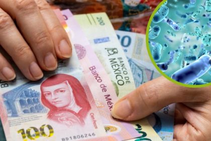 ¿Qué enfermedades se transmiten por medio del dinero?