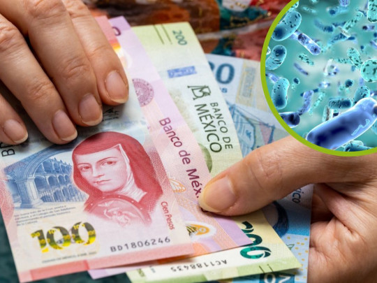 ¿Qué enfermedades se transmiten por medio del dinero?