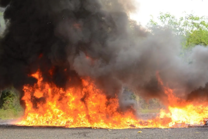 Incineran 600 kilos de drogas; más de 12 toneladas destruidas en lo que va de año