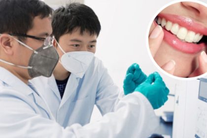 Crean medicamento para regenerar dientes: ¿el fin de las coronas e implantes?