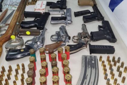 ARMAS DE FUEGO 1 1140x694 1