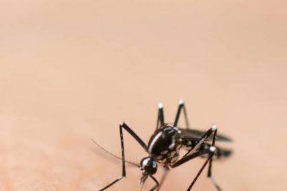 Salud Pública notifica dos muertes por dengue y 823 nuevos casos