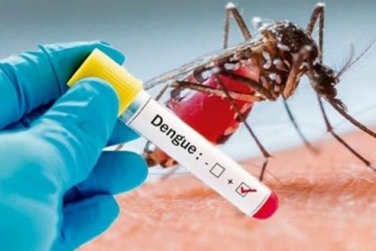 El dengue sigue en aumento; Salud registra 5,145 casos en lo que va de año