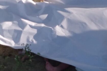 Autoridades verifican cámaras para determinar quienes dejaron cadáveres de neonatos en cementerio
