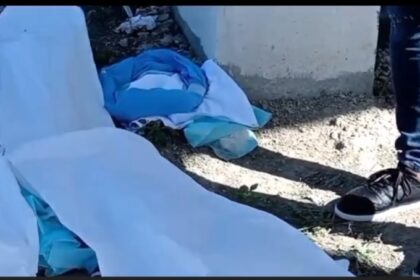 Fuera de Serie: Encuentran seis bebés muertos frente al cementerio Cristo Salvador