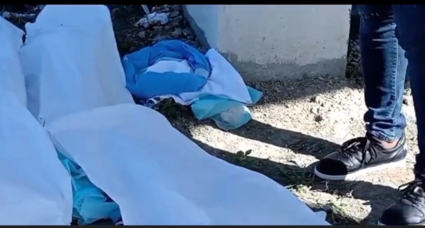 Fuera de Serie: Encuentran seis bebés muertos frente al cementerio Cristo Salvador