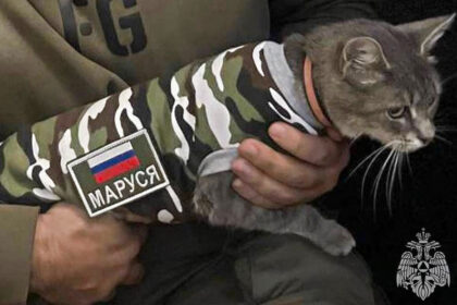 Marusia, la gata bombero que ayudará a militares rusos a defender sus víveres