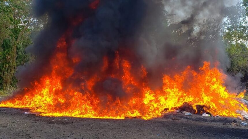 Incineran más de 1,480 kilos de cocaína y otras drogas
