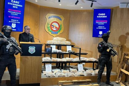 Decomisan 225 paquetes de cocaína camuflados en madera en Puerto Caucedo