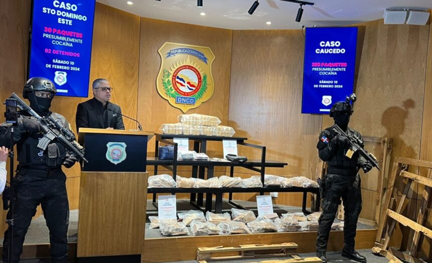 Decomisan 225 paquetes de cocaína camuflados en madera en Puerto Caucedo