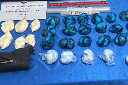 DNCD incauta 339 mil gramos de diversas drogas