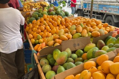 Concluyó este domingo Expo Mango 2024 en su vigésima edición