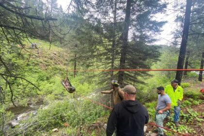Fuera de Serie : Un perro corrió 6 kilómetros por conseguir salvar a su dueño tras un accidente