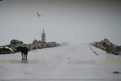 Tormenta tropical Alberto se forma en el Golfo de México; la 1ra tormenta con nombre de la temporada