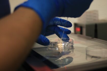 Identifican microplásticos en semen humano: hasta ocho polímeros distintos