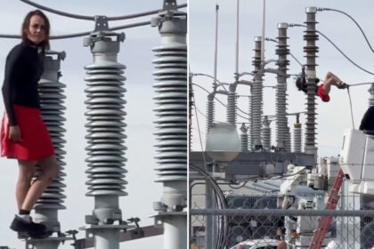 Mujer deja sin electricidad a 800 hogares en EE.UU. al sufrir una crisis nerviosa