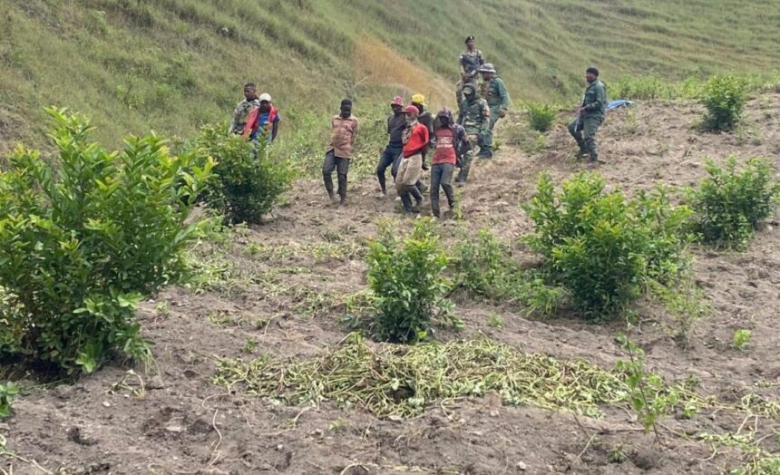 Apresan trece haitianos por afectar zonas de la presa Sabaneta