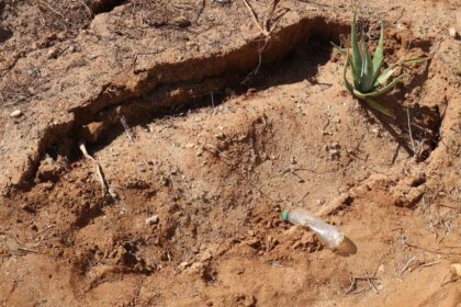 Denuncian fuerte hedor por entierros inadecuados de haitianos en cementerio de El Pocito, Montecristi