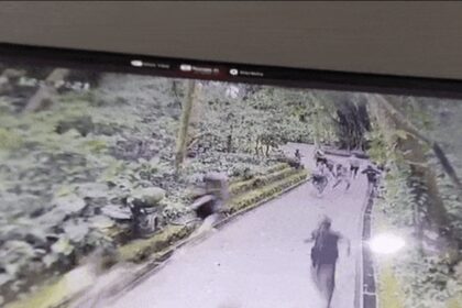 VIDEO: Árbol cae sobre turistas en una reserva en Bali