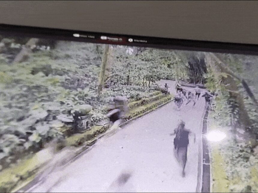 VIDEO: Árbol cae sobre turistas en una reserva en Bali