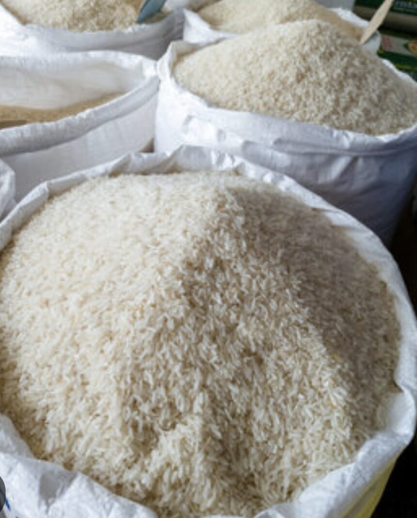 Advierten de impacto “devastador” para arroceros por llegada del cereal libre de aranceles