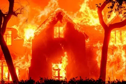 Fuera de Serie : Asciende a 24 la cifra de muertos en los incendios de Los Ángeles