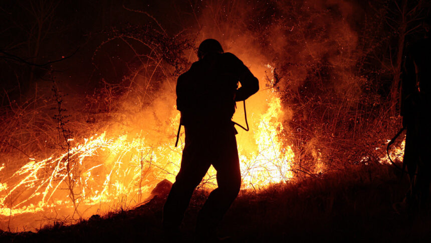 Qué se sabe del catastrófico incendio que devora 3.000 hectáreas de bosques en Argentina