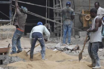 Gobierno se propone “dominicanizar” el trabajo pesado que realizan los haitianos