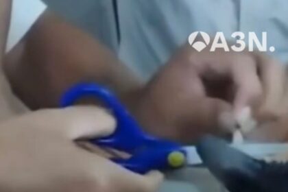 Fuera de Serie : Rescatan a gato con dos paquetes de droga