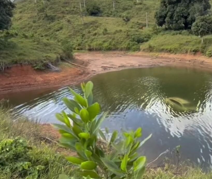 Vehículo sumergido en lago de Hatillo habría sido usado para acto de sicariato