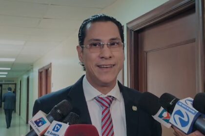 Diputado Felix Michell califica como desacertado el manejo que le da el PRM al Gobierno