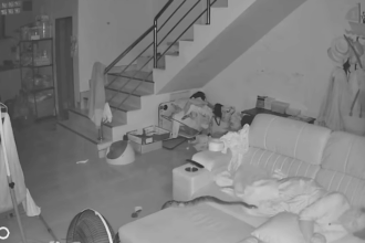 ¡De infarto! Pitón gigante irrumpe en una casa y sorprende a mujer que dormía en el sofá