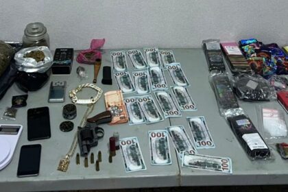 Desmantelan centro de acopio de drogas y armas ilegales en Mendoza, SDE