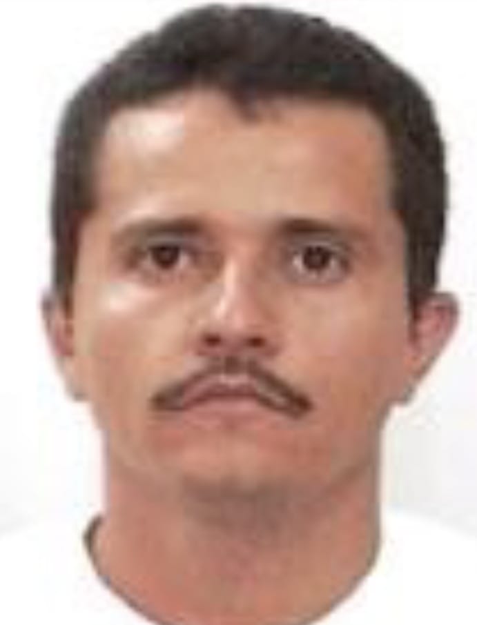 La caída del Mecho