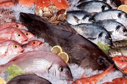 Precios del pescado y mariscos en Semana Santa 2026: desde RD$135 hasta RD$875 la libra en RD