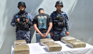 Senado aprueba en primera lectura ley para regular intermediación inmobiliaria y publicidad engañosa 7 PN ocupa seis paquetes de presunta marihuana y arresta a un hombre en Capotillo