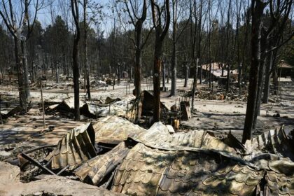 El incendio de Ávila es el mayor de la historia de España y la situación es aún «compleja»