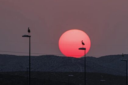 La cuarta ola de calor arranca con avisos en toda España, salvo en Asturias, Murcia y Baleares