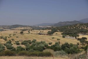 Baja a nivel 2 el incendio de Toledo y Castilla-La Mancha asume el control de la extinción