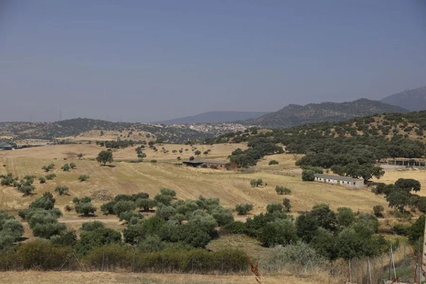Baja a nivel 2 el incendio de Toledo y Castilla-La Mancha asume el control de la extinción