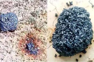 Un misterioso fragmento caliente hallado en Cuba despierta teorías sobre meteoritos y chatarra espacial