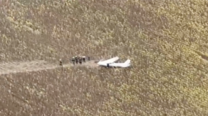 El 'boom' de la IA se acerca a Latinoamérica: ¿qué países están listos para recibirlo? 7 VIDEO: Joven roba una avioneta y pone rumbo a una central nuclear en Europa