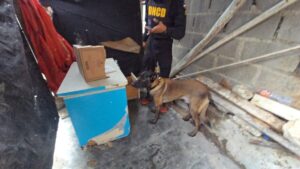 DNCD arresta a 11 personas y ocupa más de 4,500 gramos de presuntas drogas en SDO 7 DNCD arresta a 11 personas y ocupa más de 4,500 gramos de presuntas drogas en SDO