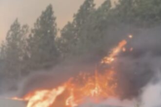 VIDEOS: Incendio forestal masivo arrasa viviendas en Washington