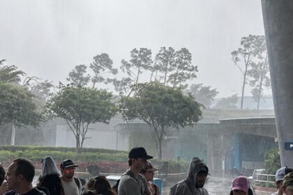 Fuerte tormenta obliga a suspender temporalmente operaciones en Disney World