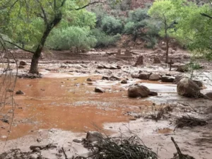 Inundación repentina deja un muerto y 15 personas sin localizar en el Gran Cañón